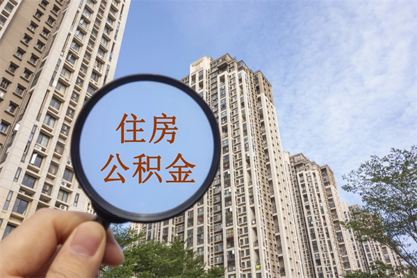 禹州怎么取住房住房公积金（取住房公积金方法）